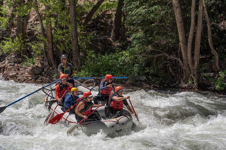 Telluride 1 Day Rafting Trip with Lunch - San Miguel River - Photo 1 of 15